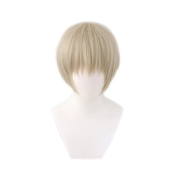 Anime Jujutsusu cos Kaisenen Togege Inumakiki Cosplay Gray Short Heat Resistant Synthetic Hair Halloween Carnival Party Costume Wig