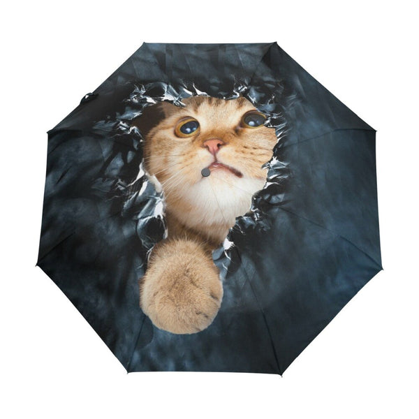 Echte Marken-Taschenschirm-Regen-Frauen-Schwarz-Qualitäts-automatische Sonnenschirm-Anti-UV-nette Katze-Muster-Sonnencreme-Strand-Sonnenschirm